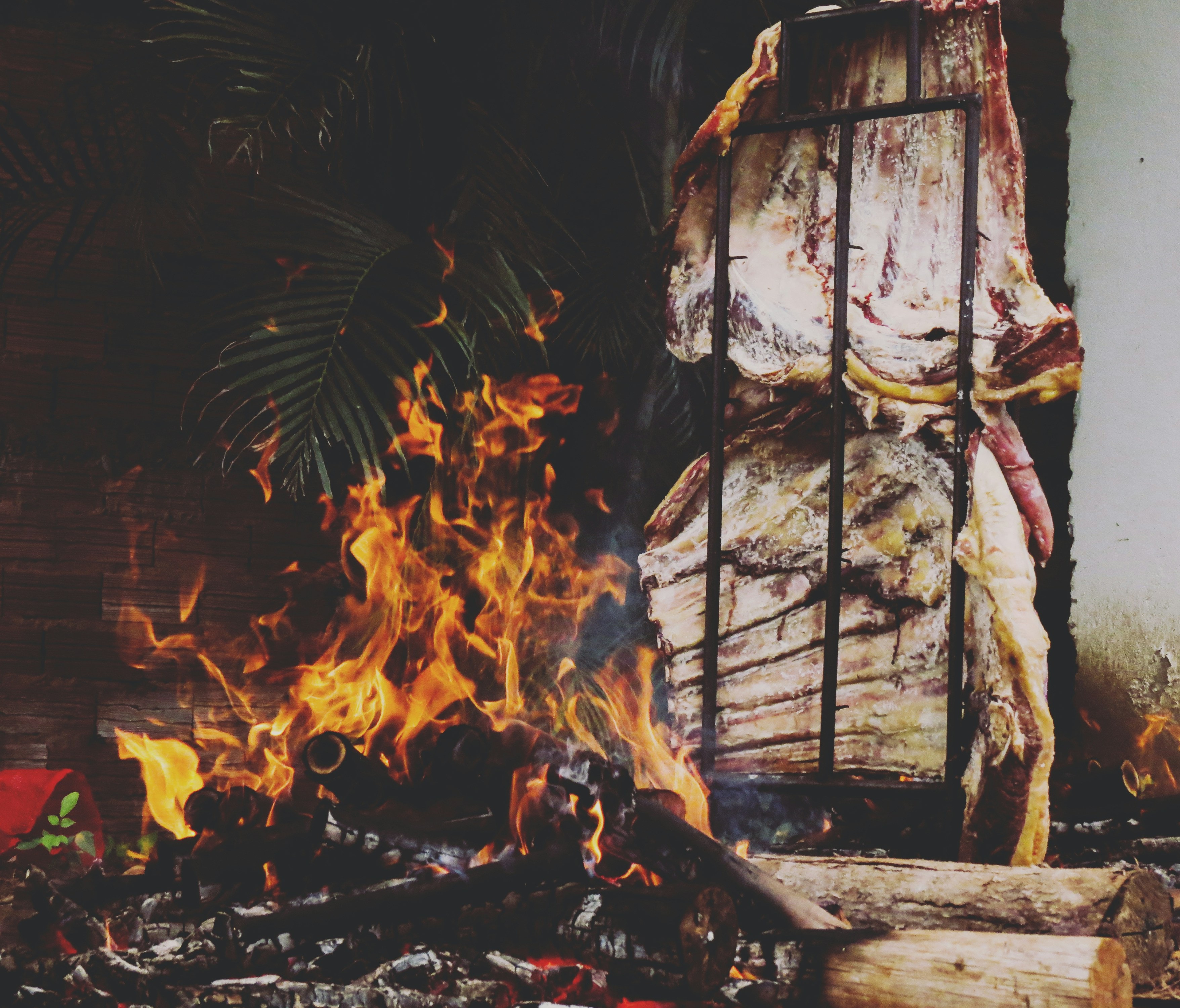 A whole costillar roasting on an iron cross over an open asado fire